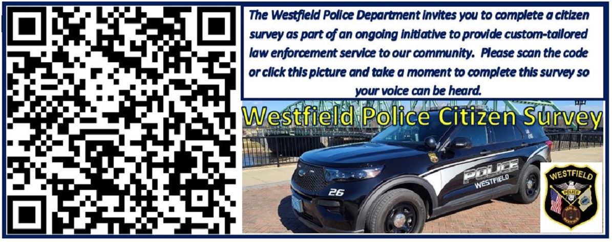 Survey Website Banner Version 2  1195 X478