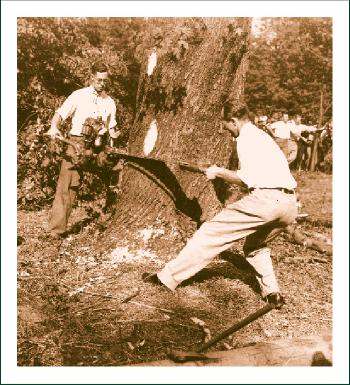 History Men Cutting Tree