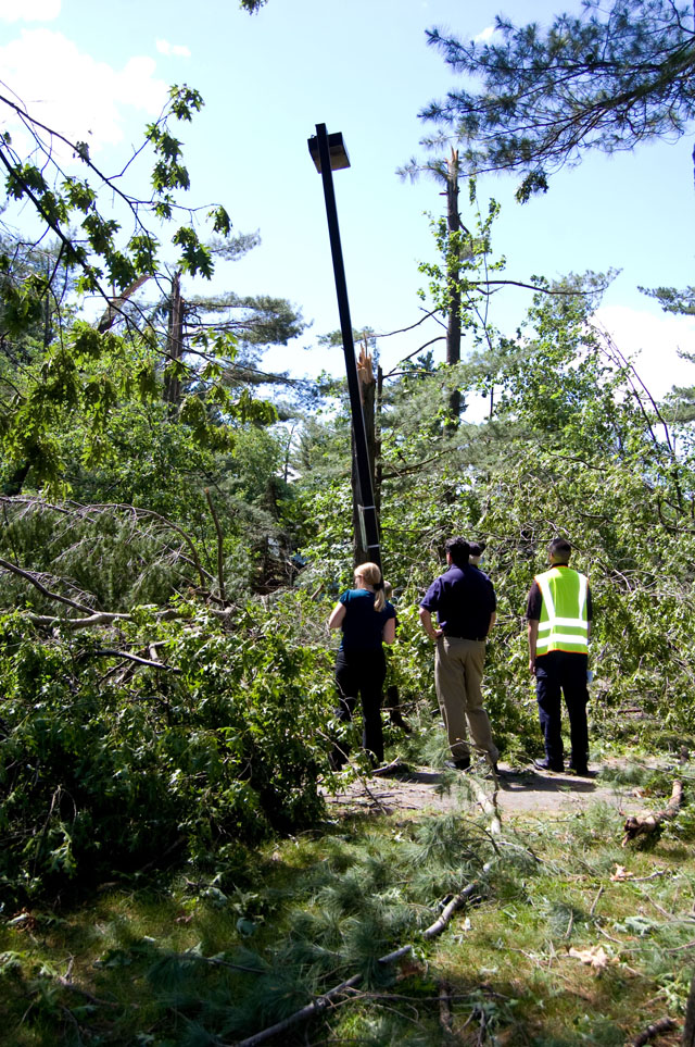 People inspecting damaged trees.